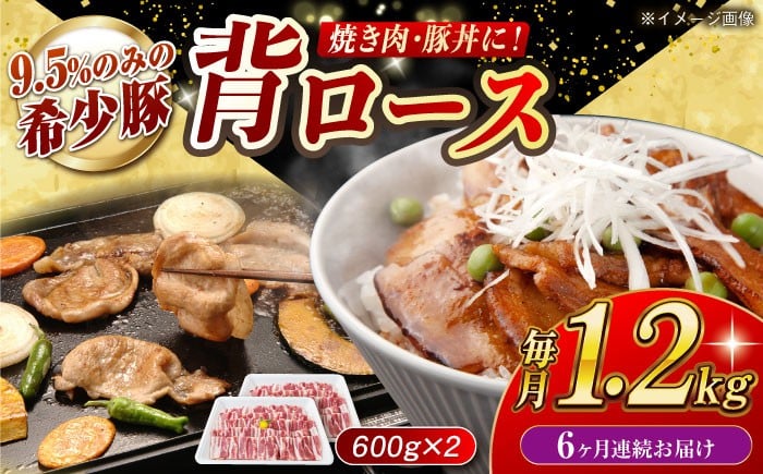 
            【月1回約1.2kg×6回定期便】大西海SPF豚 背ロース（焼肉用）計約7.2kg 長崎県/長崎県農協直販 [42ZZAA074]
          