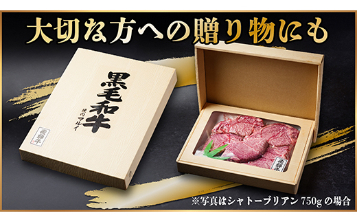 【毎月定期便】飛騨牛 シャトーブリアン 600g(150g×4枚)【冷蔵便】全3回【配送不可地域：離島】【4053247】