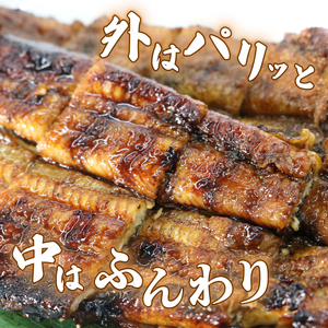 うなぎ 大姿焼き140g 1尾 鰻 鰻