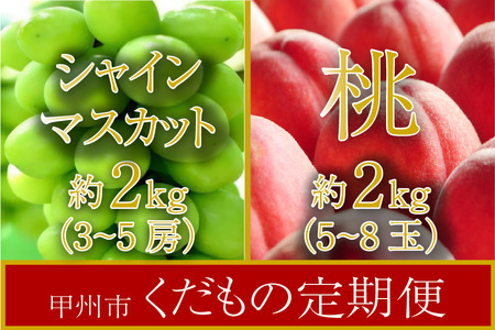 【甲州市くだもの定期便】(全2回)厳選2選！桃･シャインマスカット【2024年発送】（SHP）C8-474