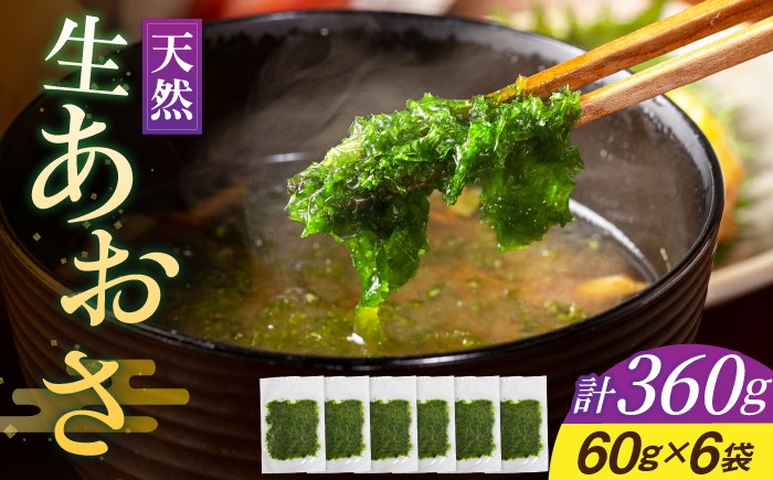 
                  天然 生あおさ 6袋（60g/袋）《壱岐市》【馬渡水産】[JAQ003] あおさ アオサノリ あおさのり 海藻 味噌汁 海苔 青のり
                
