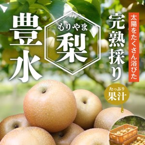 完熟採り　もりやま梨（豊水）3キロ