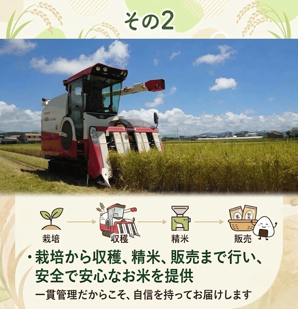 【先行予約】 新米 【お米定期便】 玄米 コシヒカリ 【12回】 10キロ 10㎏ 数量限定 米 コメ お米 早場米 ご飯 おにぎり こめ 令和8年度 農家直送 産地直送 ふるさと納税  高知県 南国
