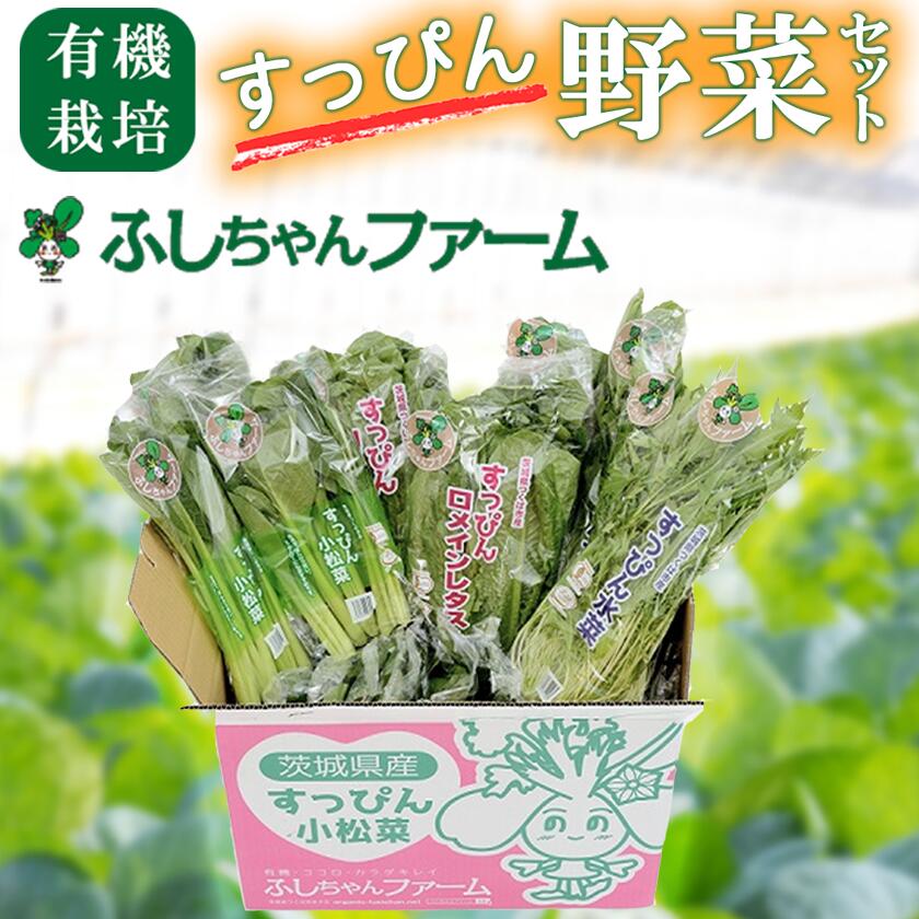 【ふるさと納税】すっぴん有機やさいセット(小松菜・水菜・ロメインレタス)| 茨城県 つくば市 小松菜 ロメインレタス 水菜 鍋 鍋もの 野菜 ベジタブル 有機野菜 有機栽培 無農薬 有機農業 オーガニック 自然 希少 9000円 9000