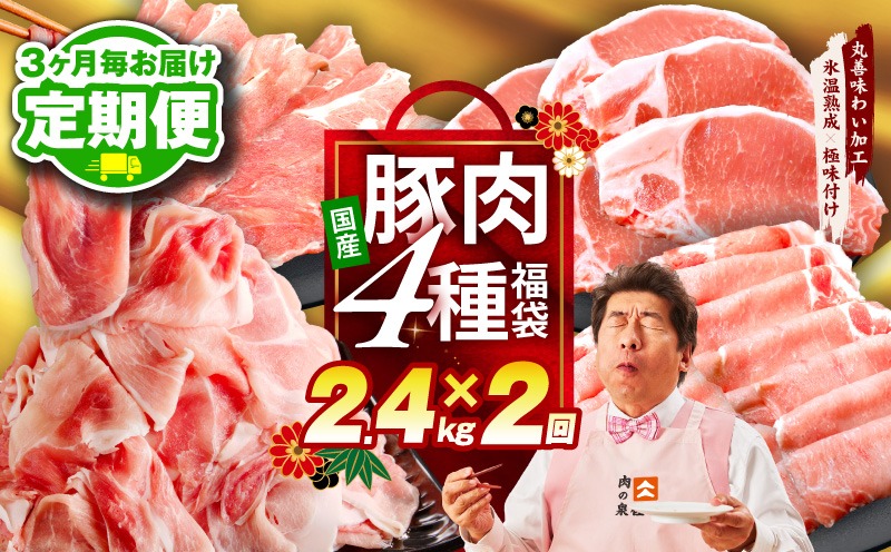mrzZ071 【定期便】国産豚肉 4種 2.4kg×全2回【氷温熟成×極味付け 小分け 300gパック ぶたにく 普段使い 野菜炒め 切り落とし 訳あり サイズ不揃い 2026年2月＆5月発送】