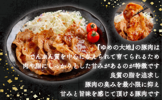 【平取町産四元豚】ゆめの大地豚ローススライス200g×10パック計2ｋｇ BRTD004