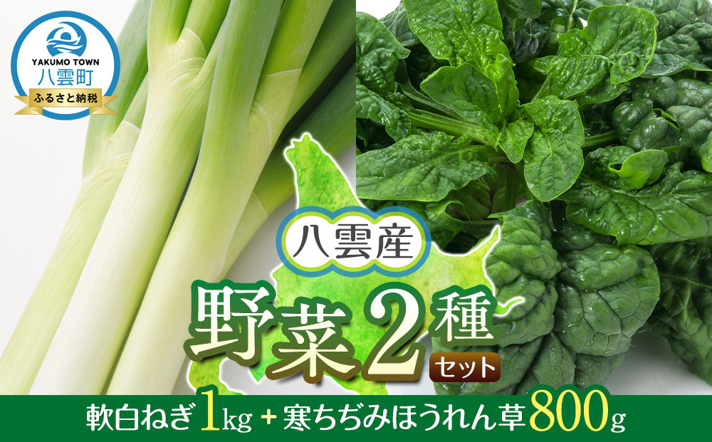 【先行予約】八雲産軟白ねぎ1kg+寒ちぢみほうれん草800gセット(2025年12月中旬以降発送開始予定)