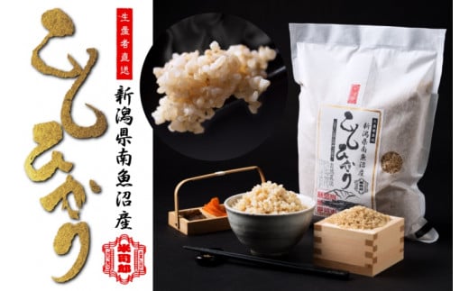 【令和6年産】【玄米】自然農法/化学肥料不使用の南魚沼産こしひかり2kg