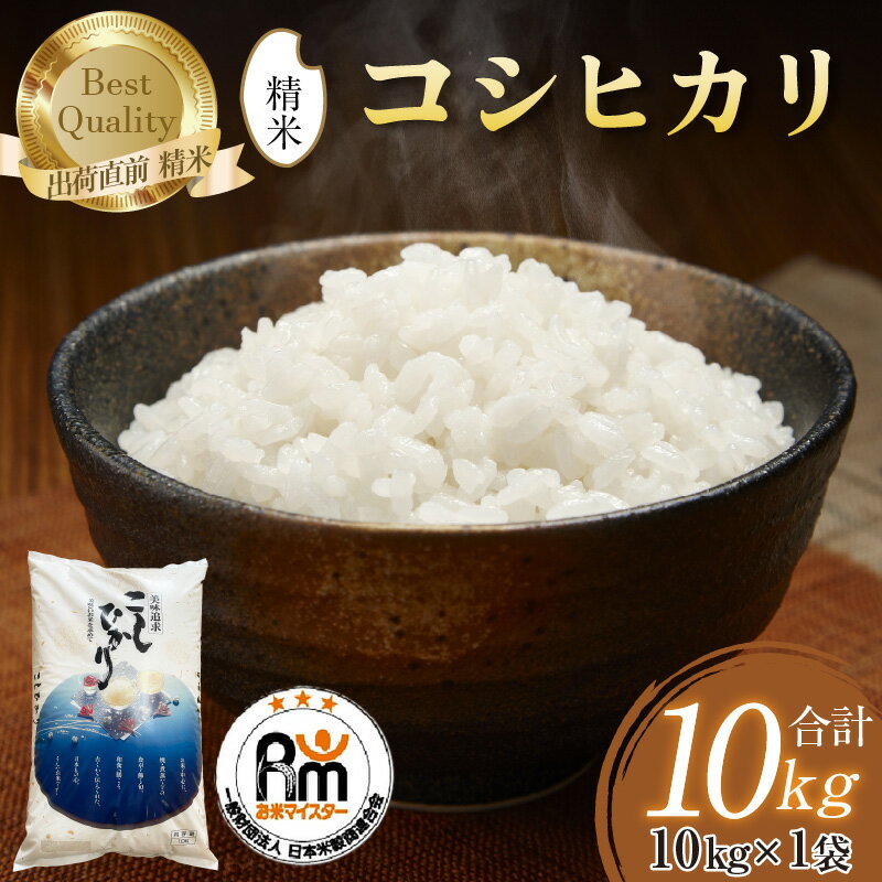 【ふるさと納税】【令和7年産】コシヒカリ 精米 10kg×1袋 《お米マイスターが発送直前に精米！》／ 米 お米 10キロ 福井県産 ブランド米 ご飯 白米 新鮮