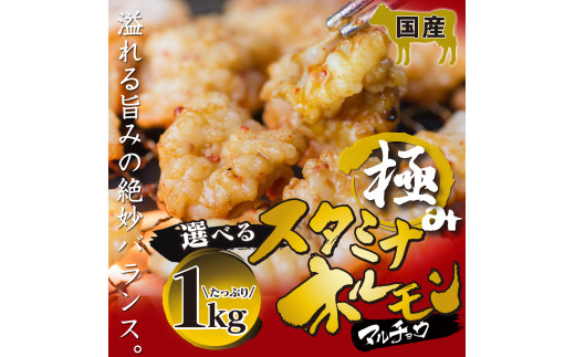 
国産 極みの スタミナ ホルモン マルチョウ 選べる 1kg タレ揉み 牛しろ タレ揉み＋牛しろ セット 250×4袋 小分け タレ付き
