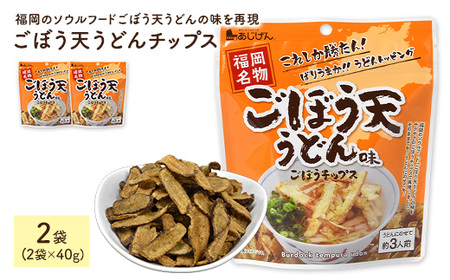 ごぼう天うどんチップス (2袋・1袋40g)  ごぼう 野菜 根菜 ゴボウ 牛蒡 やさい おつまみ おやつ 家飲み 宅飲み お菓子 おかし スナック 菓子 セット 常温 常温保存 【man311】【味源】