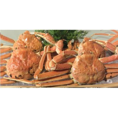 ふるさと納税 若桜町 【魚倉】松葉ガニ　ボイル　おまかせセット　3kg訳あり