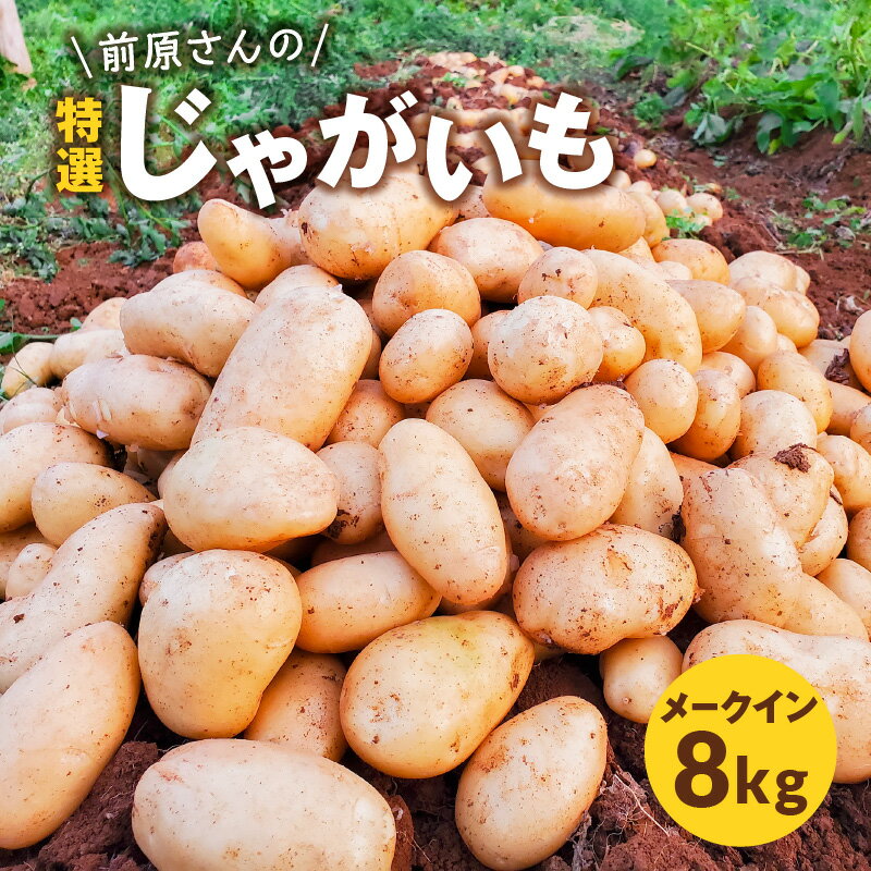 【ふるさと納税】【2026年先行予約】 前原さんの特選じゃがいも 8kg メークイン 新じゃが じゃがいも 芋 ポテト 野菜 フライドポテト ポテトチップス 期間 数量 限定 特選 極上 手堀り 美味しい 鹿児島 沖永良部 スナップ牧場 知名町 おすすめ プレゼント ランキング ギフト