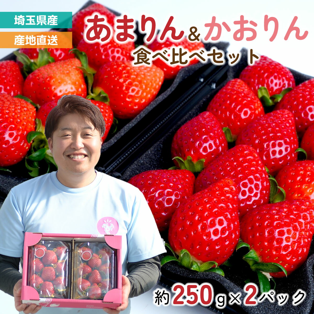 【ふるさと納税】いちご【先行予約】あまりん・かおりん 食べ比べセット 2パック 約500g (あまりん 約250g/パック 9～15粒・ かおりん 約250g/パック 9～15粒) | イチゴ 苺 甘い 新鮮 数量限定 期間限定 糖度 フルーツ ギフト 贈答 果物 産地直送 solfarm 埼玉県 東松山市