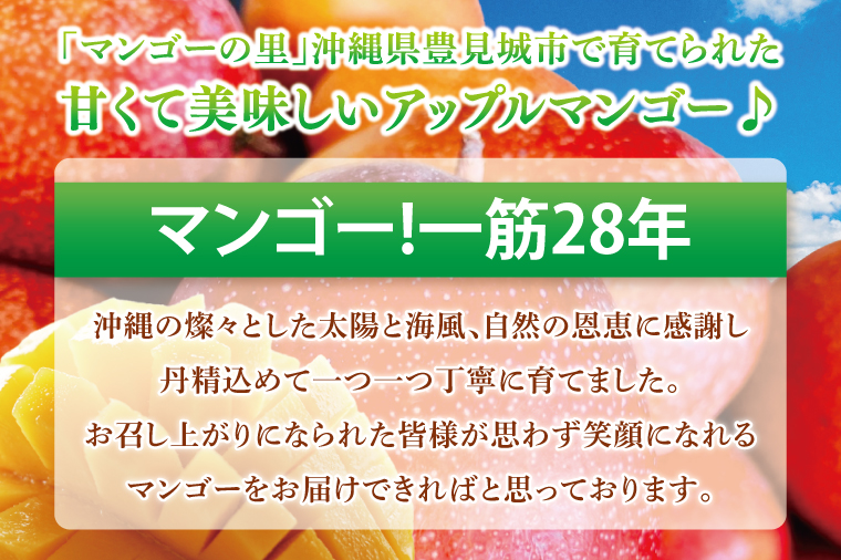 【2025年6月下旬より順次発送】マンゴーの里！豊見城市産♪あま〜い♪アップルマンゴー 約1kg(2〜4玉)(家庭用)｜マンゴー アップルマンゴー フルーツ 果物 くだもの 南国フルーツ 数量限定 先行予約 沖縄県 豊見城市 家庭用 人気 送料無料(BV010)