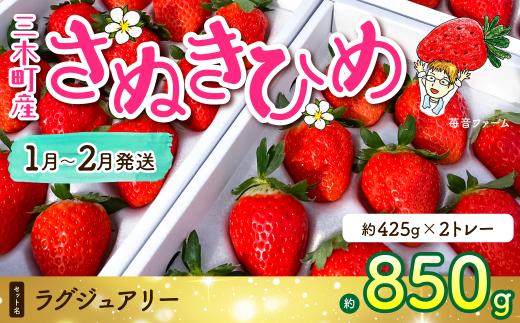 982　苺音ラグジュアリー～冬の大粒さぬきひめいちご～ 約850g