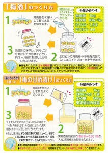 【梅干・梅酒用】（3L－2Kg）熟南高梅＜2024年6月中旬～7月7日発送予定＞