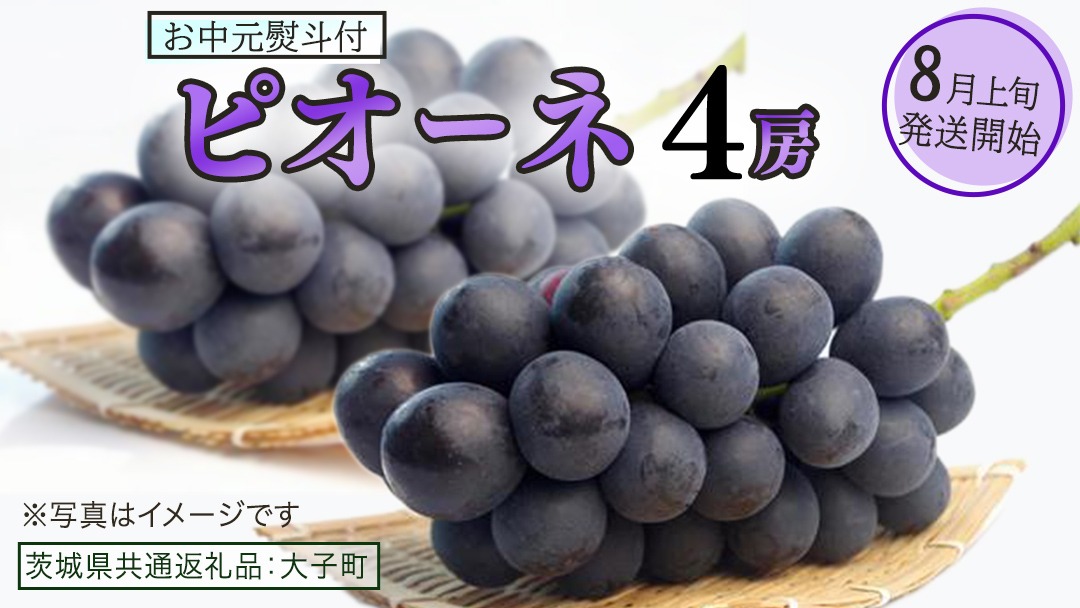 【 お中元 熨斗付き 】 ピオーネ ４房 【2026年8月上旬発送開始】(茨城県共通返礼品：大子町) ブドウ ぶどう 葡萄 ピオーネ 果物 フルーツ 果実