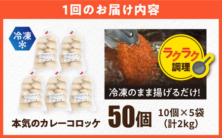 【全12回定期便】三富屋さんの本気のカレーコロッケ50個 2.0kg【三富屋商事株式会社】[AKFJ079]