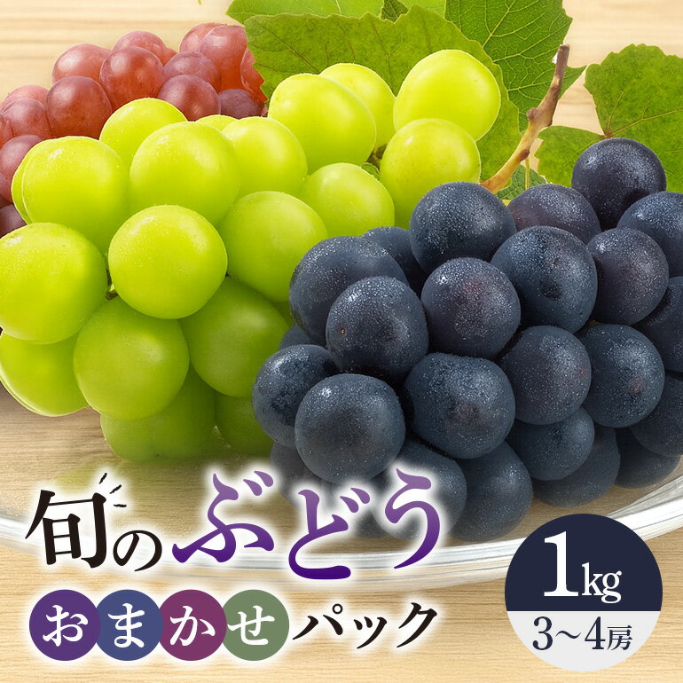 【ふるさと納税】旬のぶどうお任せパック（種あり） 1kg A14-017