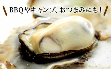 牡蠣 宮城県産 漁師の 牡蠣カンカン焼きセット（牡蠣15個）生牡蠣 殻付き牡蠣 蒸し牡蠣  焼き牡蠣 牡蠣小屋 三陸 かき 殻付き 宮城県 石巻市