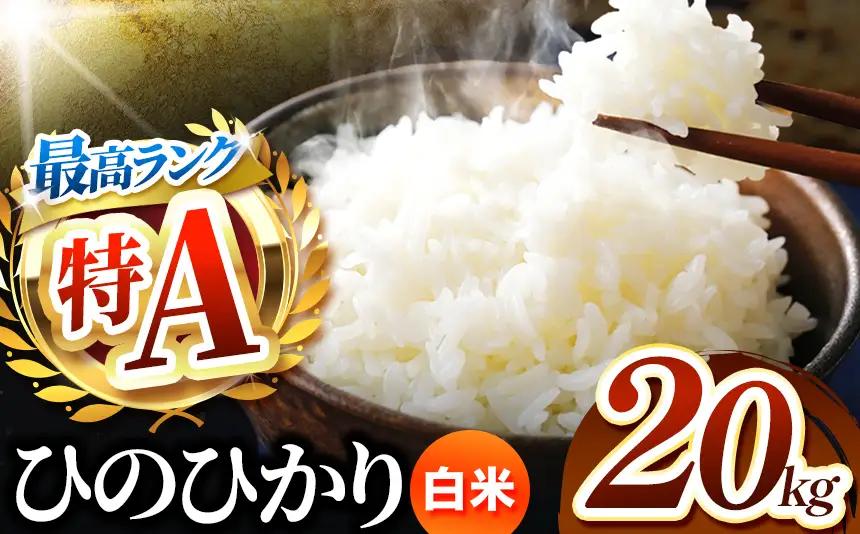 熊本県産 ひのひかり 白米 20kg