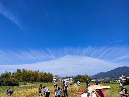 自然栽培米 ヒノヒカリ 玄米 25kg　京都府・亀岡産 令和5年産 栽培期間中農薬不使用  亀岡オーガニックアクションがお届け※離島への配送不可