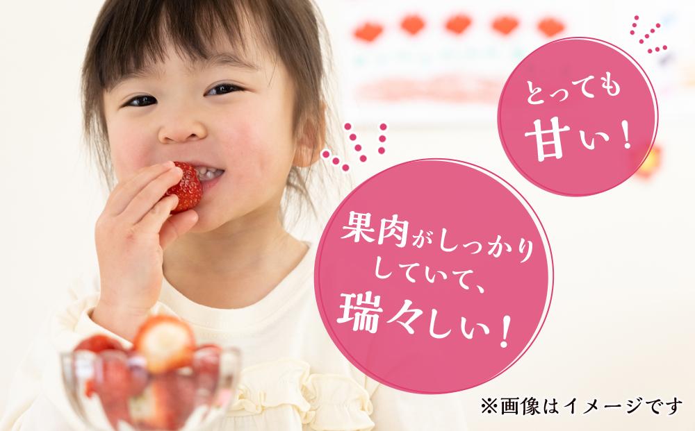 まりひめ 4パック【2025年1月発送分】