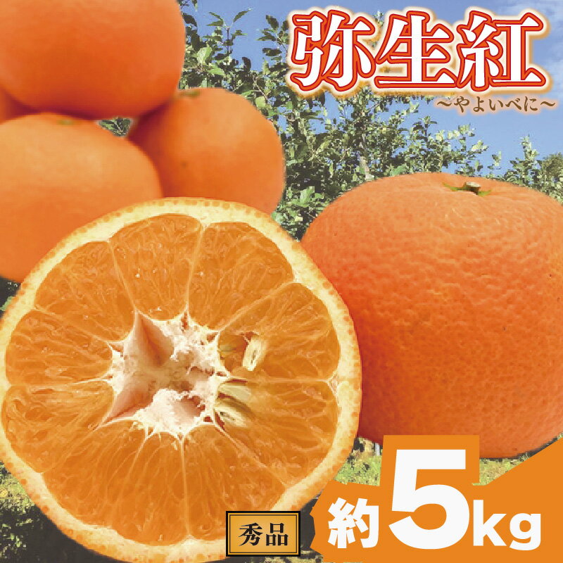 【ふるさと納税】 【先行予約】 完熟いよかん 弥生紅 秀品 約5kg Lサイズ 柑橘 いよかん 伊予柑 蜜柑 みかん mikan 果物 フルーツ 甘い ジューシー 春限定 希少品種 国産 産地直送 新鮮 ギフト 家庭用 人気 おすすめ グルメ お取り寄せ 季節限定 愛媛県 松山市 送料無料