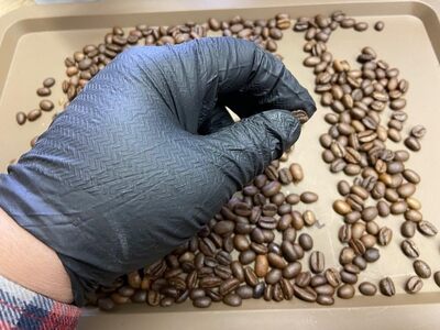 自家焙煎珈琲豆 シングル 4種類飲み比べ 30g 4種×4袋 計16袋【豆でお届け】｜SAKURA黒猫堂 珈琲 焙煎 コーヒー豆 [0635]