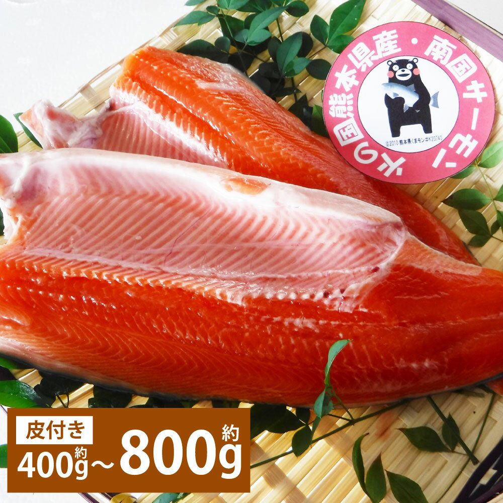 【ふるさと納税】南国サーモン 約400～800g 皮付き【2026年3月上旬～4月下旬迄発送予定】200g×2～4個 サーモン 鮭 さけ サケ 魚 魚介 海鮮 魚介類 刺身 お刺し身 刺し身 焼鮭 冷蔵 九州 熊本県 上天草市