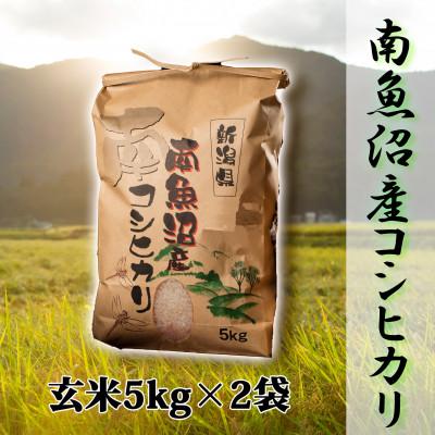 ふるさと納税 南魚沼市 【令和8年産 新米】【高級】南魚沼産こしひかり10kg(玄米)新潟県の特A地区南魚沼市の美味しいお米