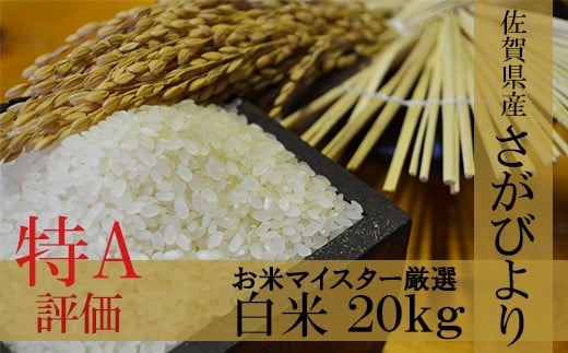 D-11【１等米限定 令和５年産米】鹿島市産厳選さがびより　白米２０ｋｇ