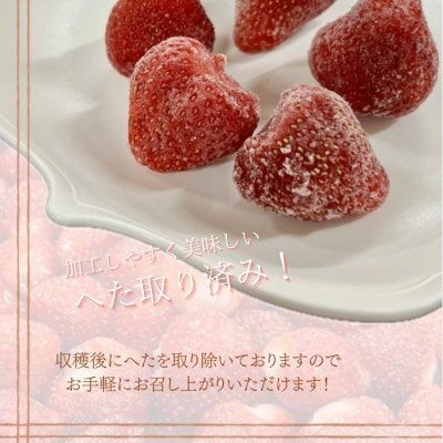 フローズンいちご～氷彩あまおう～ 1kg(500g×2袋)(筑後市)【配送不可地域：離島】