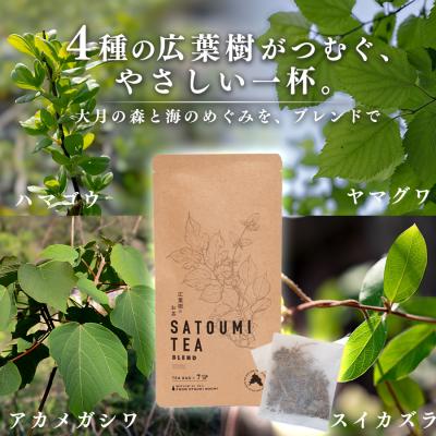 ふるさと納税 大月町 広葉樹のお茶 里海茶 ブレンド 2袋 14パック入り カフェインフリー 野草茶 高知県 大月町 |  | 01