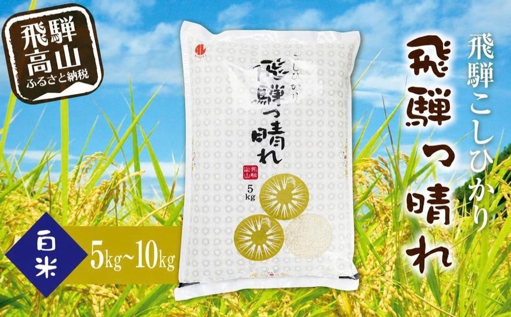 
                  【令和8年産】 こしひかり飛騨っ晴れ 白米 5kg 10kg 生産者直送 お米 コシヒカリ 飛騨産 飛騨高山 アグリランド  JF001VP
                