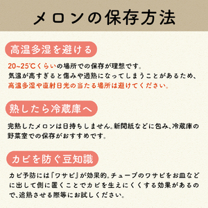 【2025年7月後半発送】青森のメロン約8kg青肉4～6玉秀～優