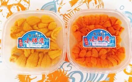 小樽産 バフン・ムラサキ 塩水生ウニ セット 100g×2パック 合計約200g うに ウニ 生ウニ 北海道 小樽市【2025年6月上旬-8月上旬 発送予定】