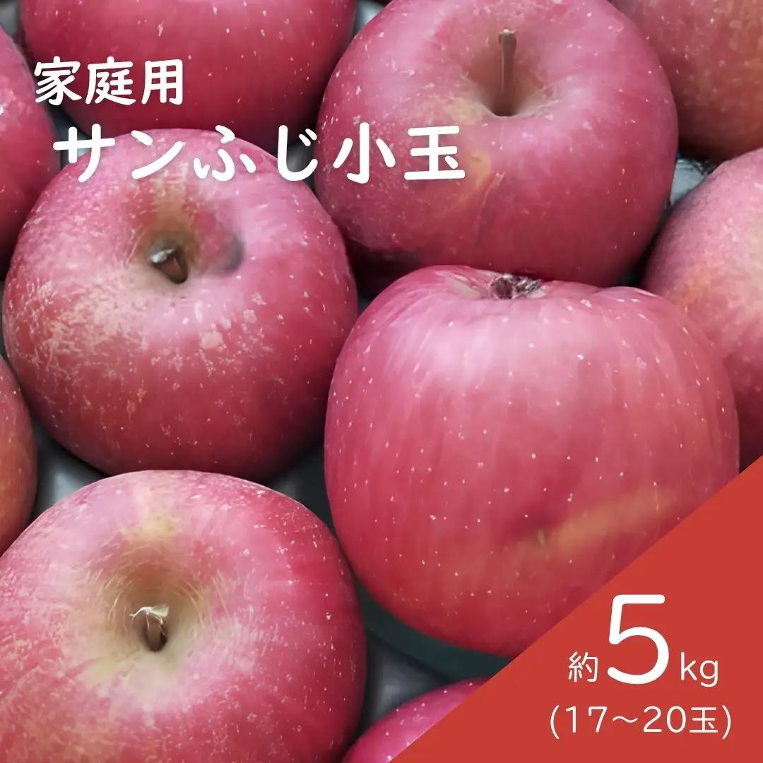 KR18 サンふじ 家庭用 小玉 約5kg（17～20玉） 長野県松川町産／11月下旬頃～配送予定//長野県 南信州 リンゴ 林檎 ふじ さんふじ 小玉サイズ 訳あり 自家用 農家直送 農家支援 産地直送