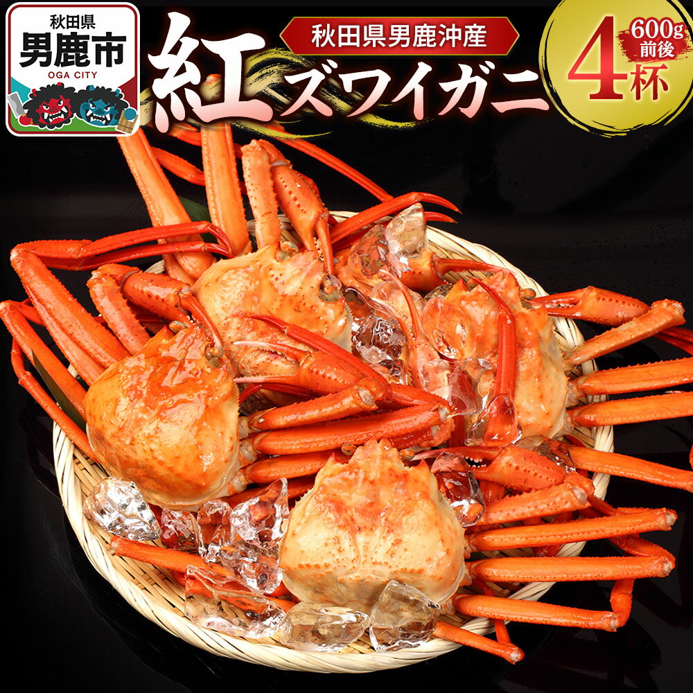 【ふるさと納税】男鹿沖産紅ズワイガニ 600g 前後×4杯 男鹿なび 蟹 カニ 国産 秋田 ずわい蟹 ずわいガニ