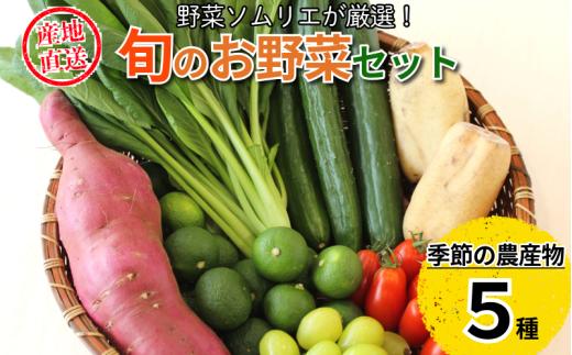 旬のエシカル農産物 5種セット 野菜 おまかせ 新鮮 採れたて 産地直送 やさい とうもろこし トマト 減農薬 きのこ オクラ 玉ねぎ 美味しい 小松島市