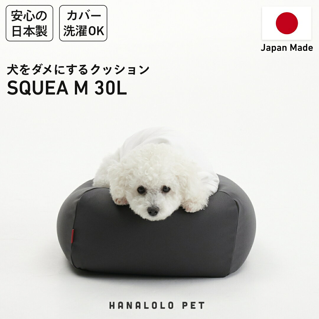 【ふるさと納税】 クッション ビーズクッション ビーズクッション ペットクッション S カバー付 30L チャコールグレー 1個 [タキコウ縫製 愛知県 岡崎市 ok23bzx360027] インテリア 家具 雑貨 くっしょん 椅子 イス 癒し ペット グレー