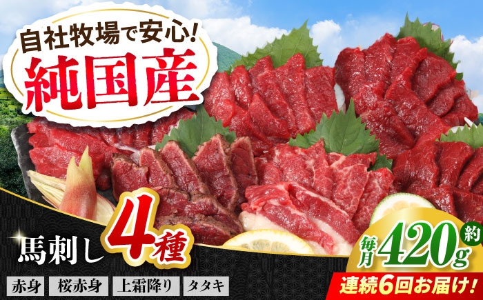 
                  【全6回定期便】『純国産』熊本の味 馬刺し 満喫 4種 セット 計約420g / 熊本 馬刺し ばさし バサシ 馬肉 赤身 霜降り ヘルシー 冷凍 食べ比べ 定期便 【有限会社 九州食肉産業】 [AYCN031]
                