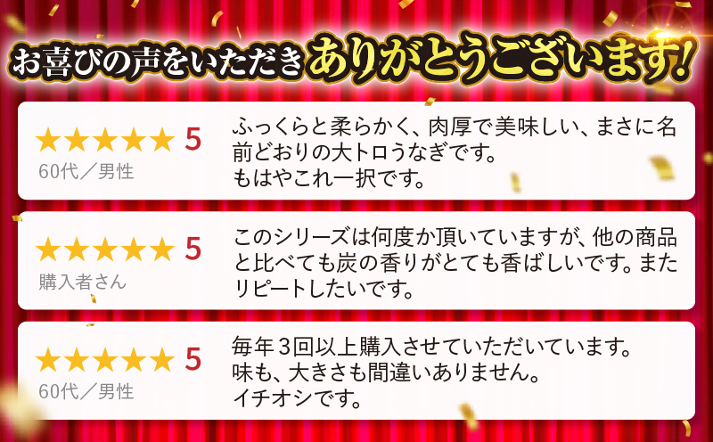 1661-2 大人気！鯉家の極上蒲焼「大トロうなぎ蒲焼（2尾）」270g【九州産・手焼き備長炭】　KN040-002-01