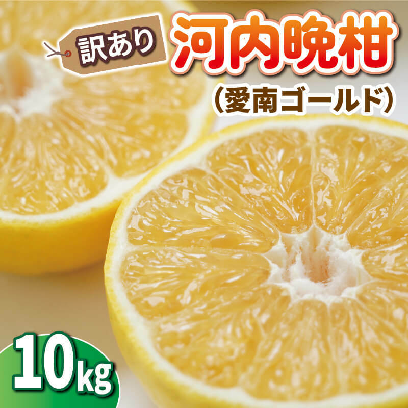 【ふるさと納税】 先行予約 訳あり 河内晩柑 10kg みかん 蜜柑 オレンジ 温州みかん グレープフルーツ 愛南ゴールド 文旦 ポンカン デコポン 果物 果実 柑橘 フルーツ 果汁 ゼリー ジュース 甘い ジューシー ビタミン 美容 健康 国産 産直 ひなたのみかん 愛媛県 愛南町