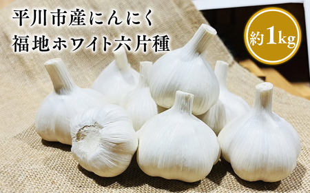 【レビューキャンペーン】【平川市産にんにく】福地ホワイト六片種 約1kg[hi-0028-007]