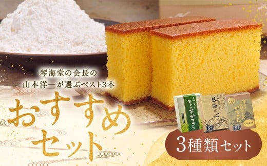 【おすすめセット】琴海堂の会長の山本洋一が選ぶベスト3本 カステラ ( 和三盆 琴海の心 そのぎ茶 )