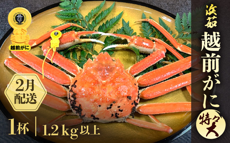 
            ≪浜茹で≫越前がに 特々大サイズ 1杯（生で1.2ｋg以上）【雄 ズワイガニ かに カニ 蟹 越前ガニ 姿 ボイル 冷蔵 福井県】【2月発送分】希望日指定可 備考欄に希望日をご記入ください [e68-x001_02]
          