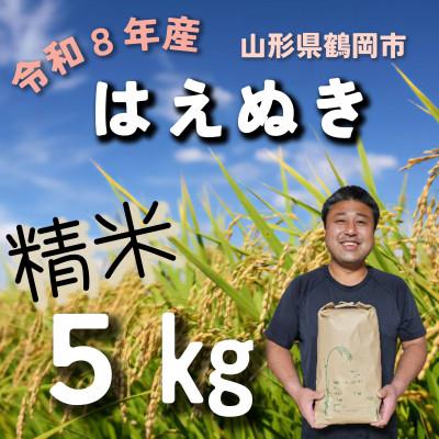 ふるさと納税 鶴岡市 令和8年産先行受付　山形県鶴岡市『はえぬき (庄内米)』　精米　5kg