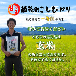 【先行予約】 令和7年産 玄米 コシヒカリ 10kg こしひかり 甘うま越後のこしひかり ご飯 備蓄 コメ お米 米 こめ しんまい 新潟産 新潟米 新潟県 新潟 新発田 新発田市 国産 新発田市産 